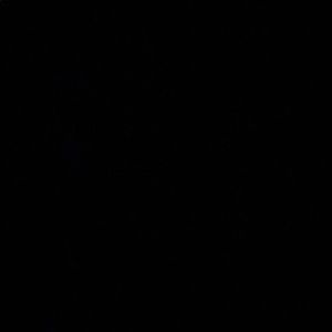 Meet your Posher, Lilly